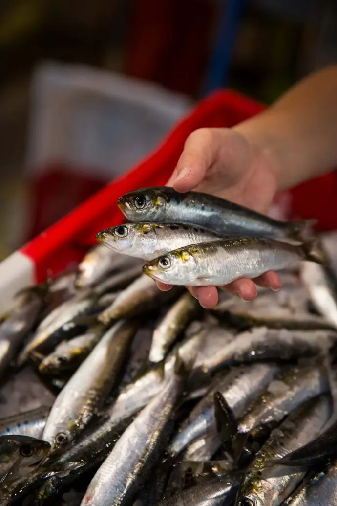 Sardines dans un bac rouge